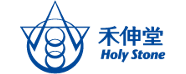 Holy Stone Enterprise logo